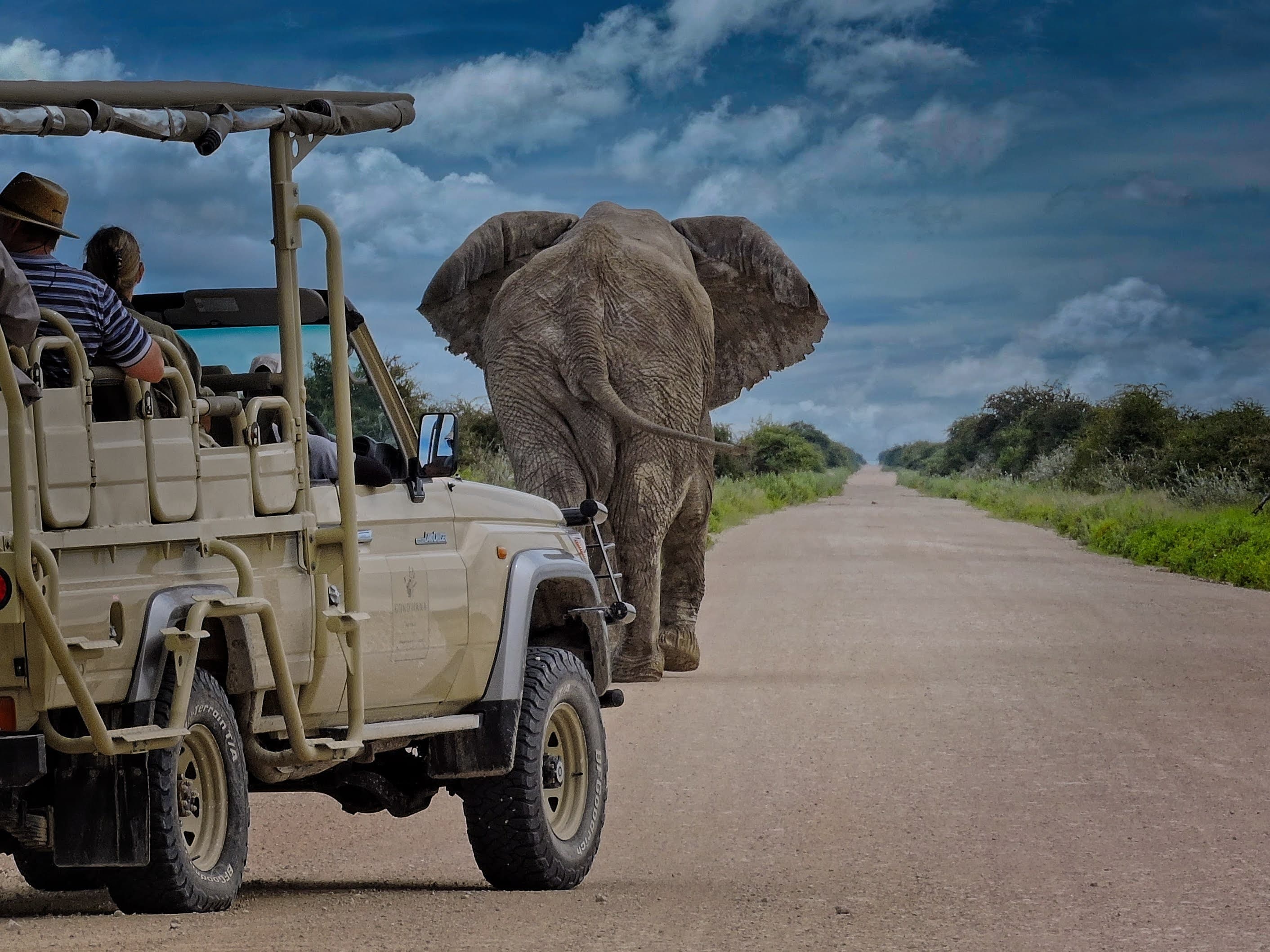 Projects & Promotions — our Namibia story